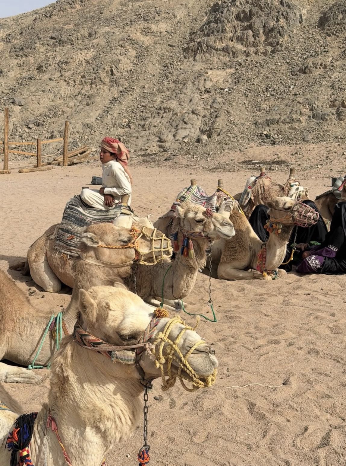 Hurghada Quad Bike Experience